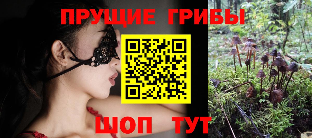 Киреевск  Псилоцибиновые грибы Psilocybine cubensis  Вход с VPN 