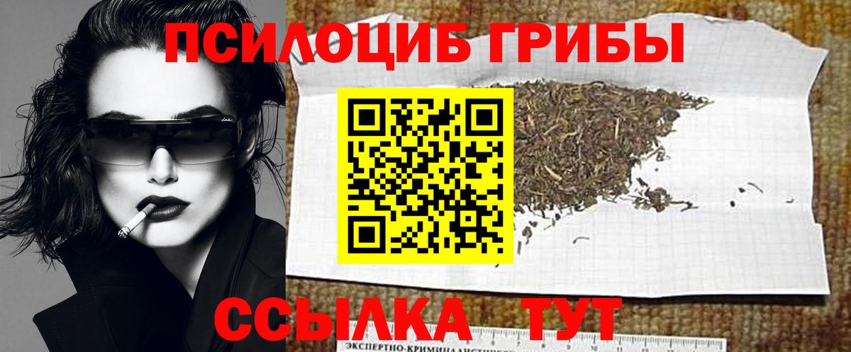 Псилоцибиновые грибы Psilocybine cubensis Киреевск